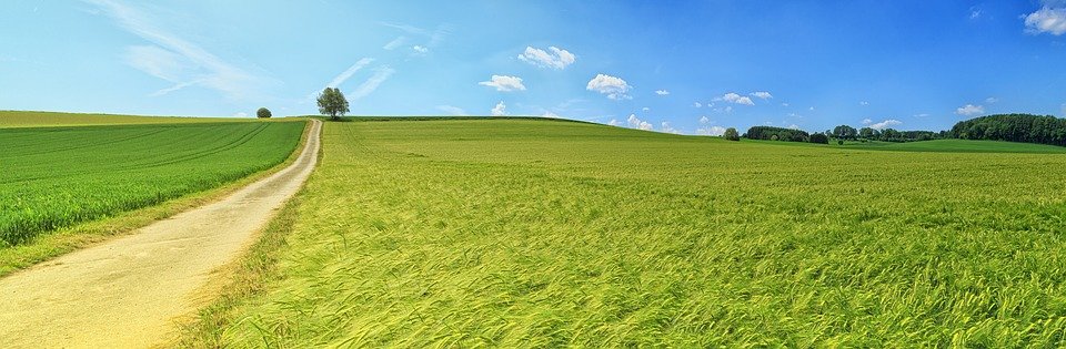 Bootstrap Image Preview